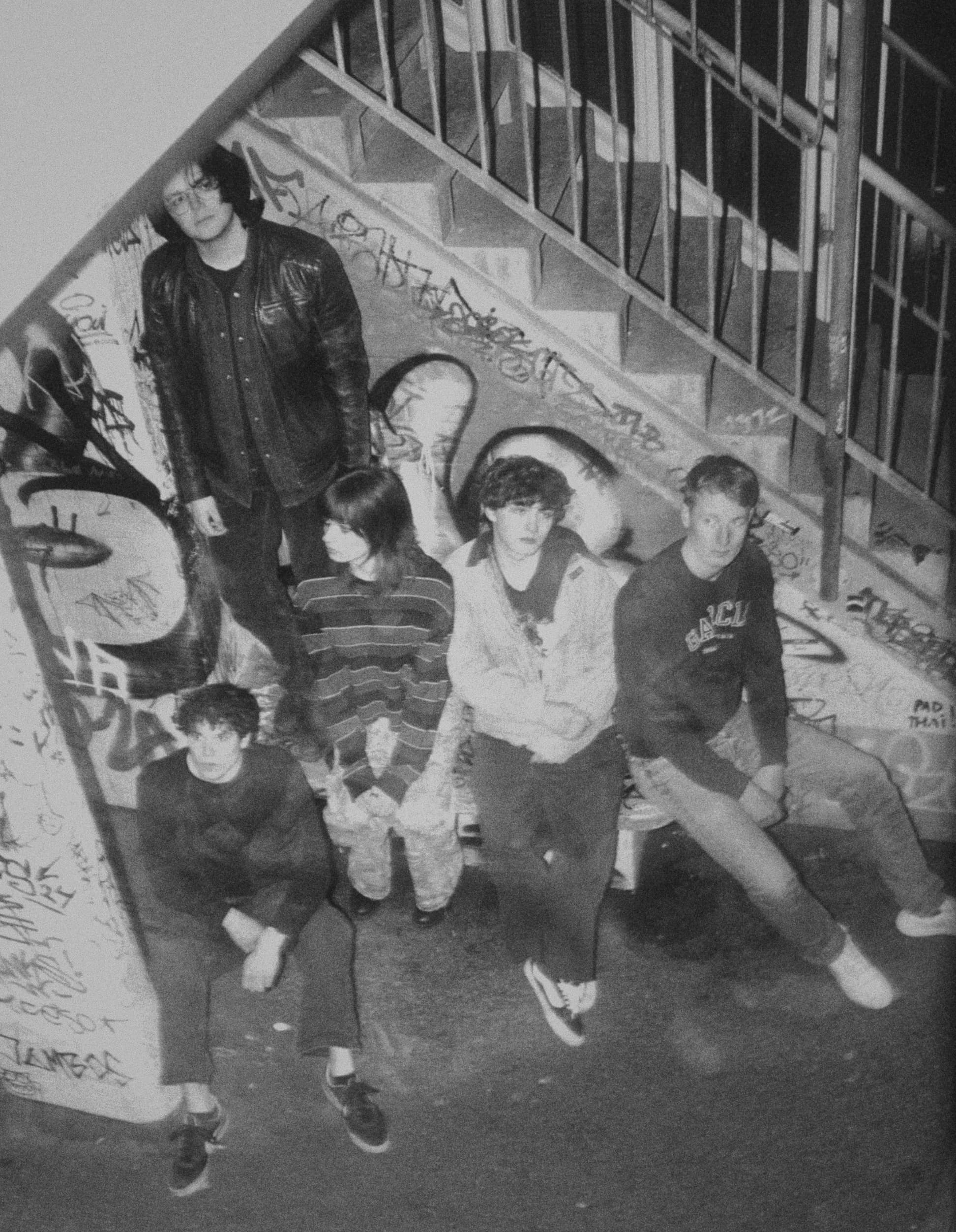 goodnight lavender: press photo